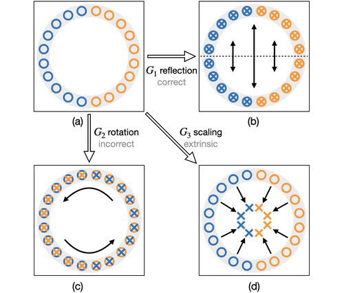 The Surprising Effectiveness of Equivariant Models in Domains with Latent Symmetry